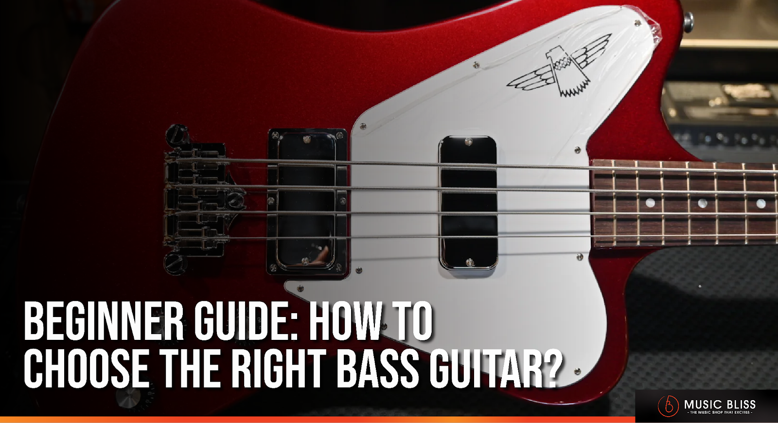 Beginner Guide: How To Choose The Right Bass Guitar?