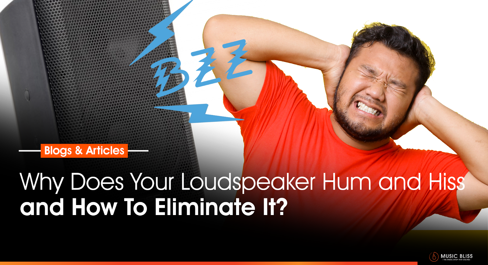 Why Does Your Loudspeaker Hum and Hiss and How To Eliminate It