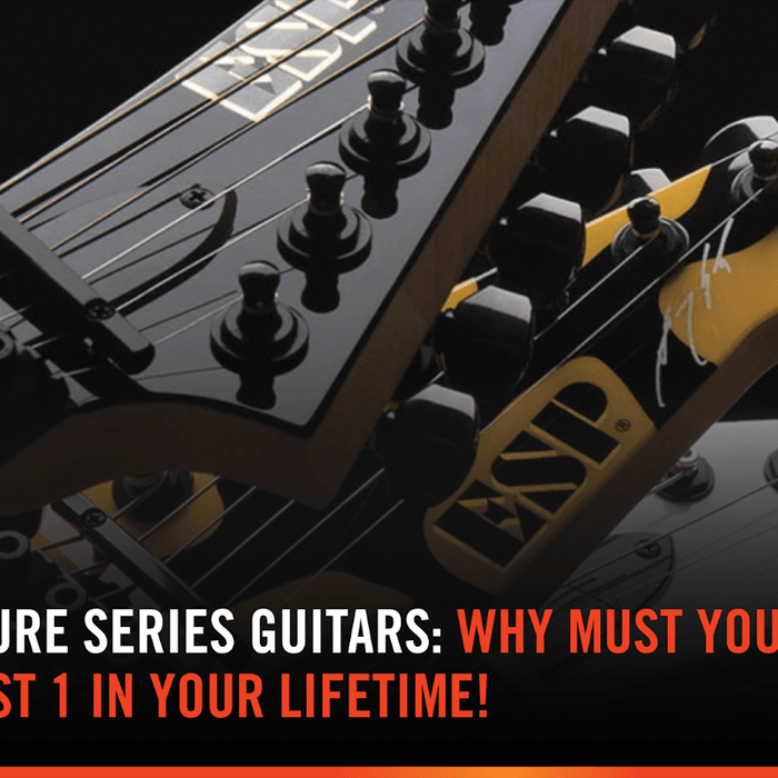 ESP Signature Series Guitars: Why Must You Must Own At Least 1 In Your Lifetime!