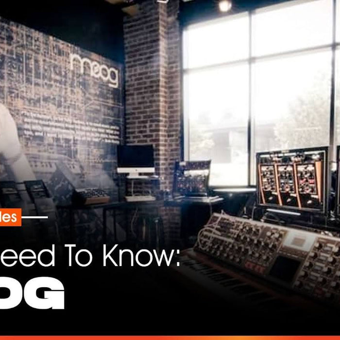 All You Need To Know: Moog