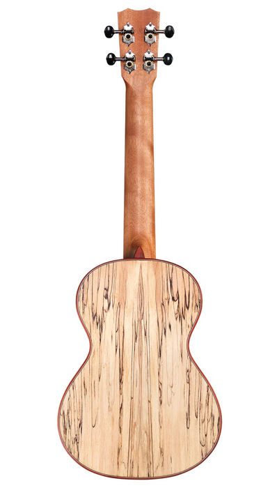 Cordoba 24T Tenor Ukulele - Spruce Top, Maple Back & Sides
