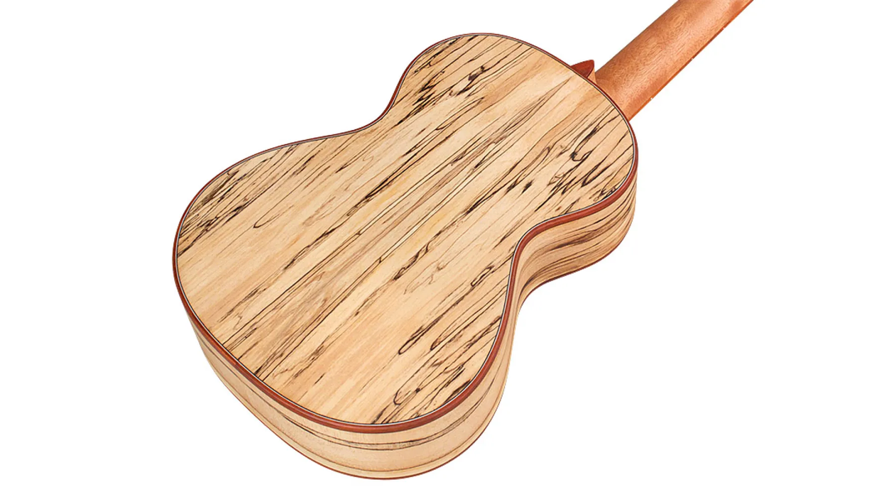 Cordoba 24T Tenor Ukulele - Spruce Top, Maple Back & Sides