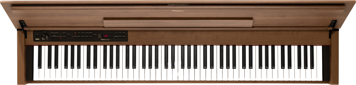 Korg POETRY-M Chopin-inspired 88-key Digital Piano *0% INSTALLMENT*