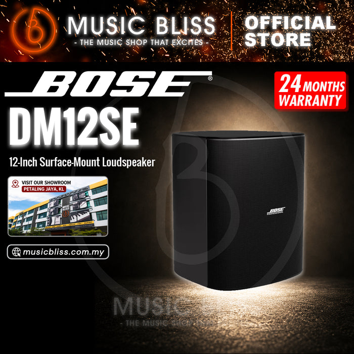 Bose DesignMax DM12SE 12-Inch Coaxial Surface-Mount Loudspeaker - Black