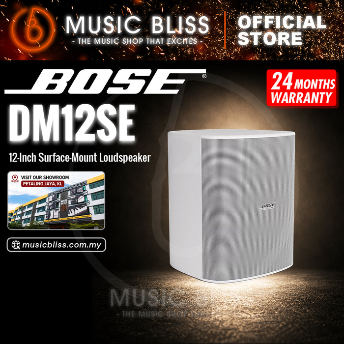 Bose DesignMax DM12SE 12-Inch Coaxial Surface-Mount Loudspeaker - White