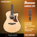 Ibanez AAM50CE Advanced Acoustic Auditorium Acoustic-electric Guitar - Natural - Music Bliss Malaysia