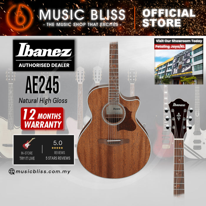 Ibanez AE245 Acoustic-Electric Guitar - Natural High Gloss