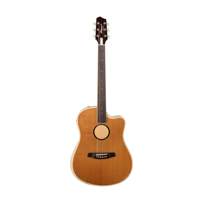LR Baggs AEG-1 Acoustic-electric Guitar - Torrefied Spruce Top