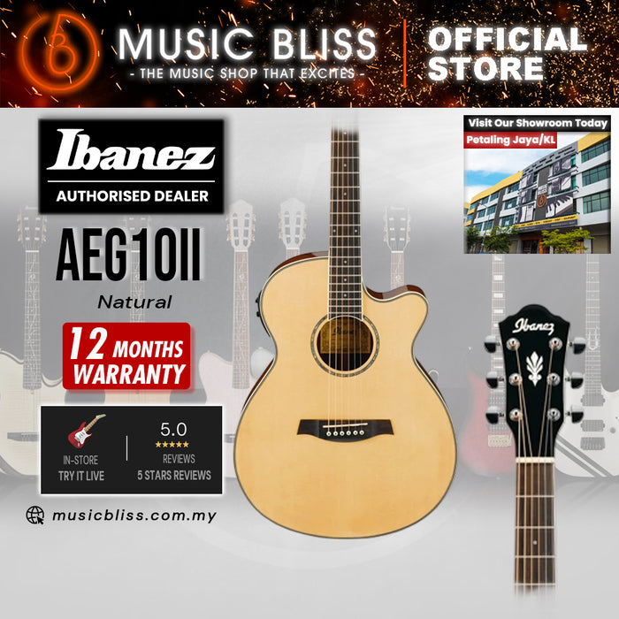 Ibanez AEG10II Acoustic-Electric Guitar - Natural