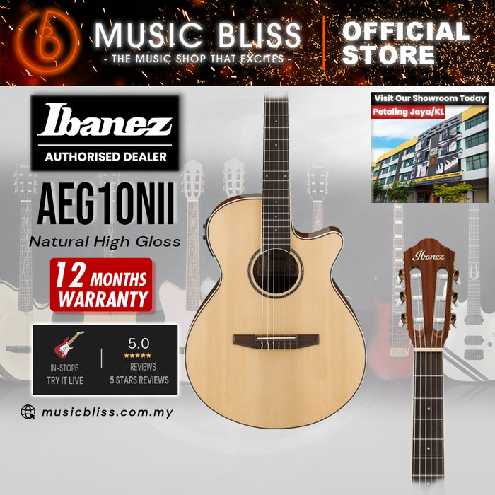 Ibanez AEG10NII Nylon Acoustic-Electric Guitar - Natural High Gloss