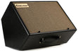 Friedman ASM-10 500-watt 1x10" Active Modeler / Profiler Monitor - Music Bliss Malaysia