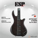 ESP Original BOTTOM BUMP PJ NANAMI - See Thru Black [MIJ - Made in Japan] - Music Bliss Malaysia