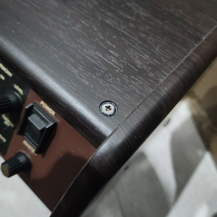 B-STOCK (BS-418) Boss Acoustic Singer Pro 120-watt Acoustic Combo Amplifier