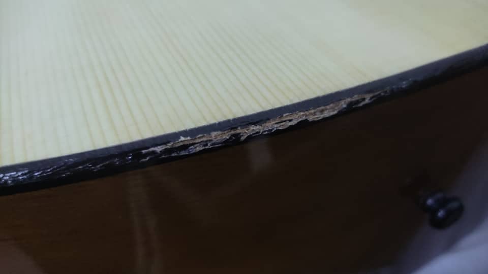 B STOCK (BS-562)Yamaha F310 Beginner Acoustic Guitar - Natural (F-310)