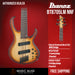Ibanez Bass Workshop BTB705LM Bass Guitar - Natural Browned Burst Flat - Music Bliss Malaysia