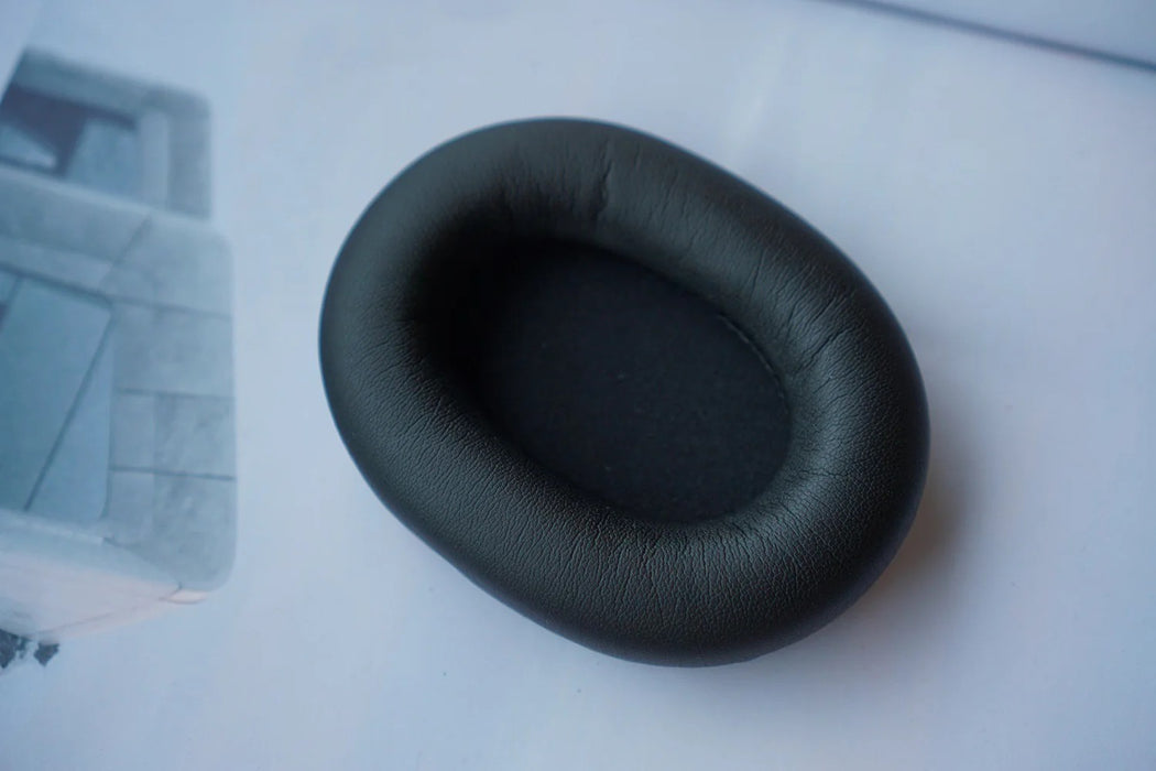 Class B Protein: Sony WH-1000XM5 with Bracket & Foam Disk