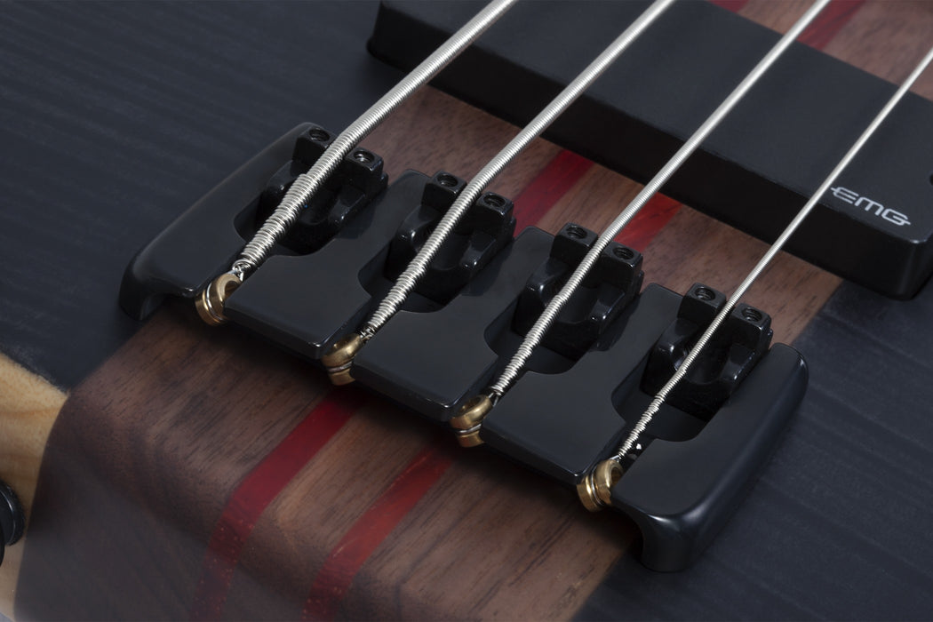 Schecter Charles Berthoud CB-4 Electric Bass Guitar - See-Thru Black Satin