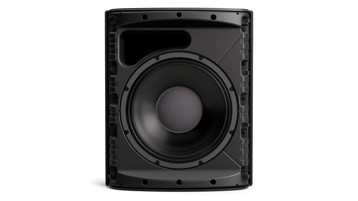 Bose DesignMax DM12SE 12-Inch Coaxial Surface-Mount Loudspeaker - Black