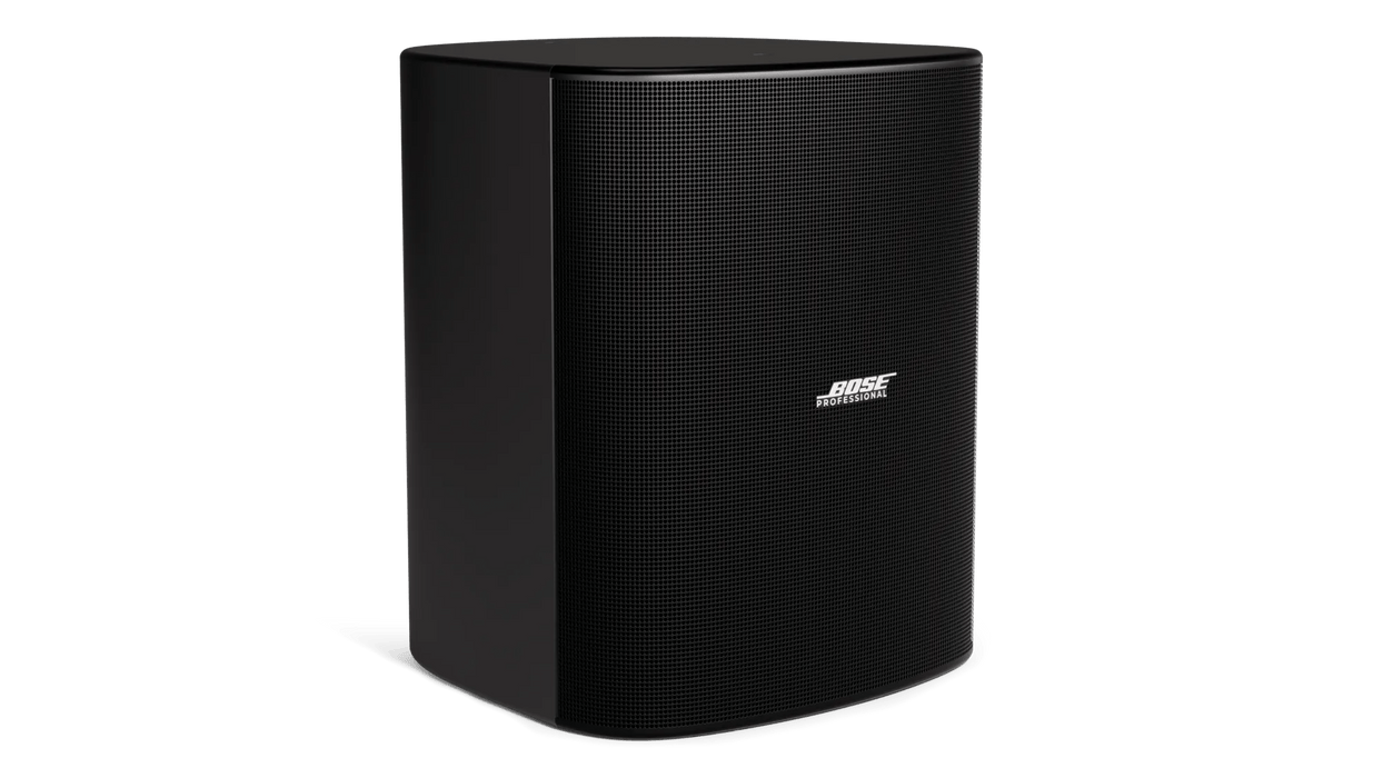 Bose DesignMax DM12SE 12-Inch Coaxial Surface-Mount Loudspeaker - Black