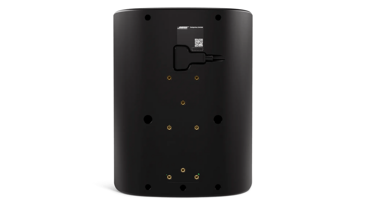 Bose DesignMax DM12SE 12-Inch Coaxial Surface-Mount Loudspeaker - Black