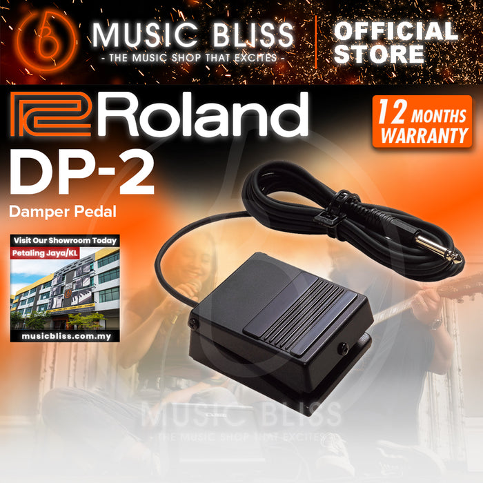 Roland DP-2 Damper Pedal