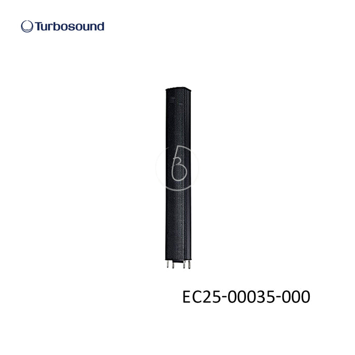 iP2000 Sub Unit; P0BT5; Common (Spare Parts for Turbosound)