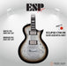 ESP Original ECLIPSE CTM DB - Silver Liquid Metal Burst [MIJ - Made in Japan] - Music Bliss Malaysia