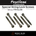Floyd Rose FR1SLSB 1000 Series String Lock Screws (set of 6) - Music Bliss Malaysia
