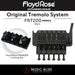 Floyd Rose FRT200 Original Tremolo System with Floyd Rose FRNR2BP R2 Locking Nut Package - Music Bliss Malaysia
