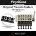 Floyd Rose FRT500 Original Tremolo System with Floyd Rose FRNR2BNP R2 Locking Nut Package - Music Bliss Malaysia