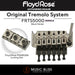 Floyd Rose FRTS5000 Special Series Tremolo System with Floyd Rose FR1NR2BN 1000 Series / Special R2 Locking Nut Package - Music Bliss Malaysia