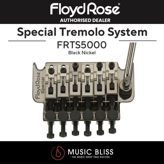 Floyd Rose FRTS5000 Special Series Tremolo System with Floyd Rose FR1NR2BN 1000 Series / Special R2 Locking Nut Package - Music Bliss Malaysia