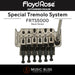 Floyd Rose FRTS5000 Special Series Tremolo System with Floyd Rose FR1NR2BN 1000 Series / Special R2 Locking Nut Package - Music Bliss Malaysia