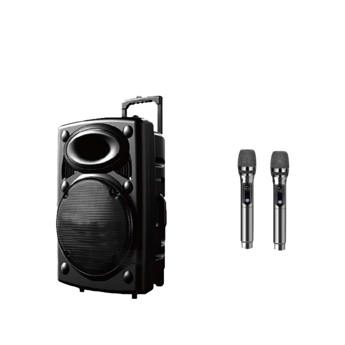 Flepcher PPA-1210 Portable Speaker 12", 1000W with 2 Wireless Microphones