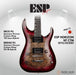 ESP Original HORIZON-CTM NT/Burl Maple - Reptile Red Burst [MIJ - Made in Japan] - Music Bliss Malaysia