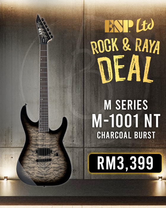 ESP LTD M-1001 NT Electric Guitar - Charcoal Burst