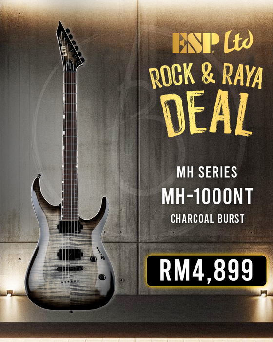 ESP LTD MH-1000NT Electric Guitar - Charcoal Burst
