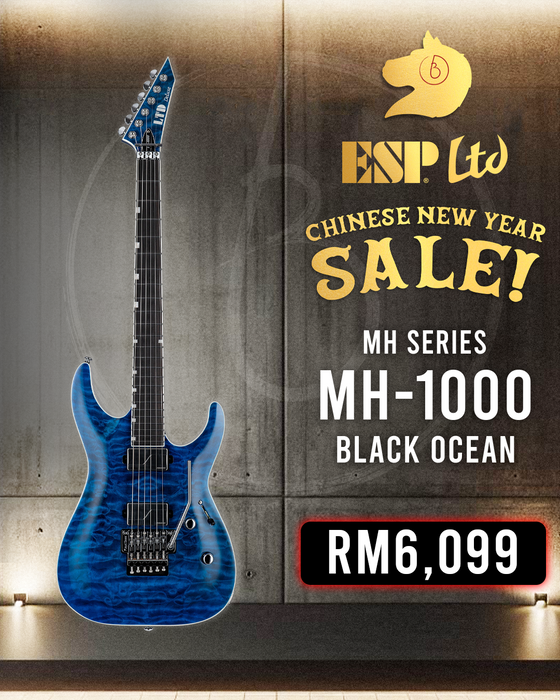 ESP LTD MH-1000 QM Electric Guitar - Black Ocean