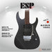 ESP Original M-II DX/R - Titan Metal [MIJ - Made in Japan] - Music Bliss Malaysia