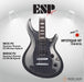 ESP Original MYSTIQUE NT - Titan Metal [MIJ - Made in Japan] - Music Bliss Malaysia