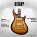 ESP Original MYSTIQUE NT-CTM/FM - Tea Sunburst [MIJ - Made in Japan] - Music Bliss Malaysia