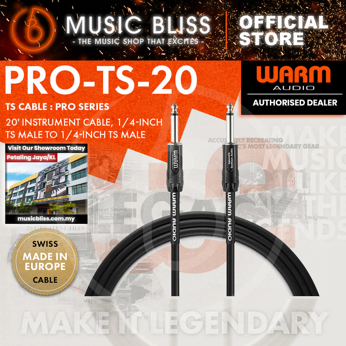 Warm Audio Pro Silver Straight to Straight Instrument Cable - 20-foot
