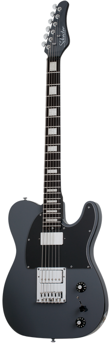 Schecter PT EX Electric Guitar - Dorian Gray