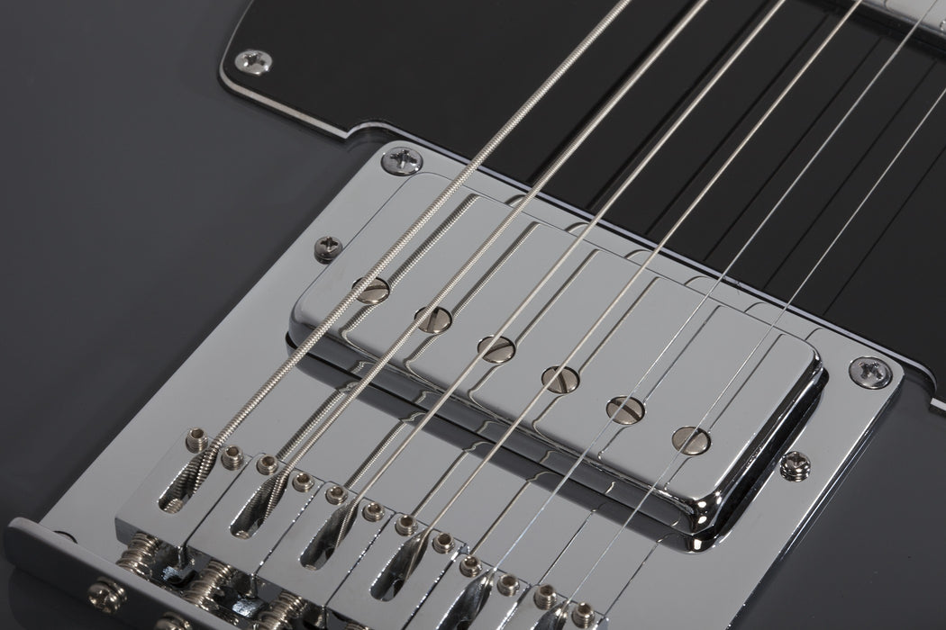 Schecter PT EX Electric Guitar - Dorian Gray