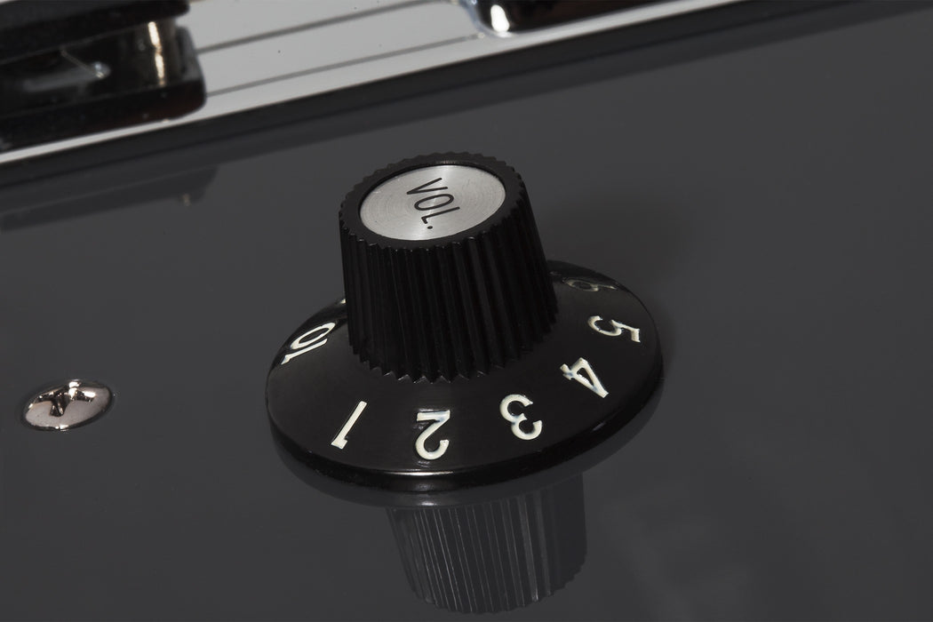 Schecter PT EX Electric Guitar - Dorian Gray