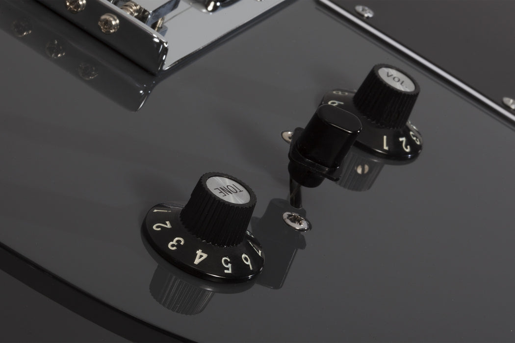 Schecter PT EX Electric Guitar - Dorian Gray