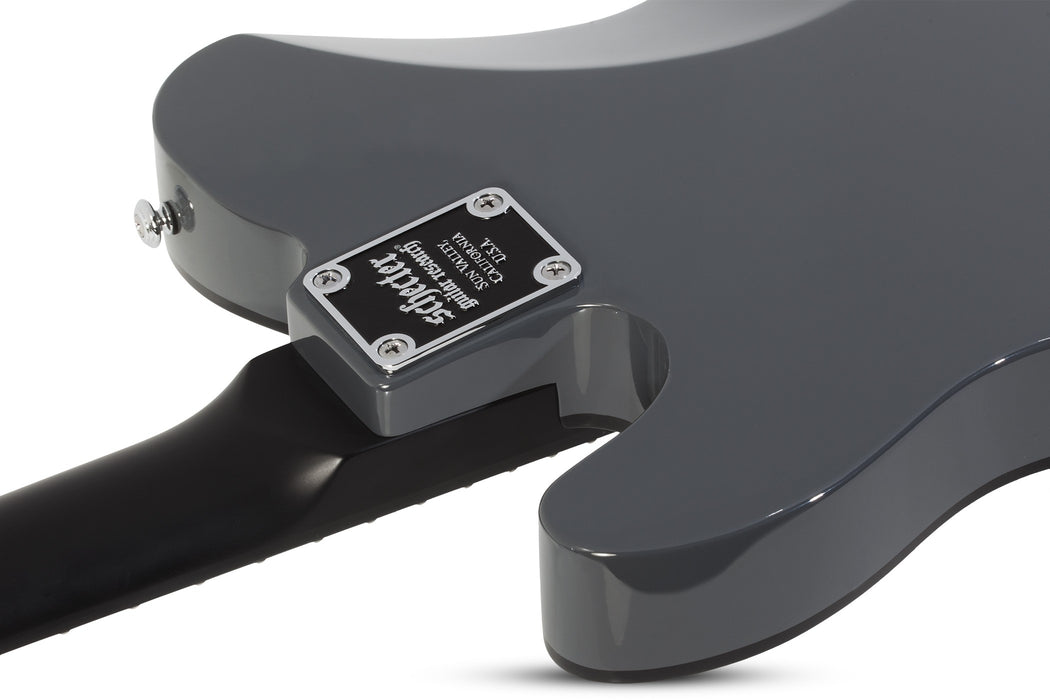 Schecter PT EX Electric Guitar - Dorian Gray