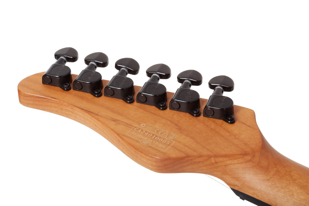 Schecter PT Standard Electric Guitar - Black Fade Burst Burl