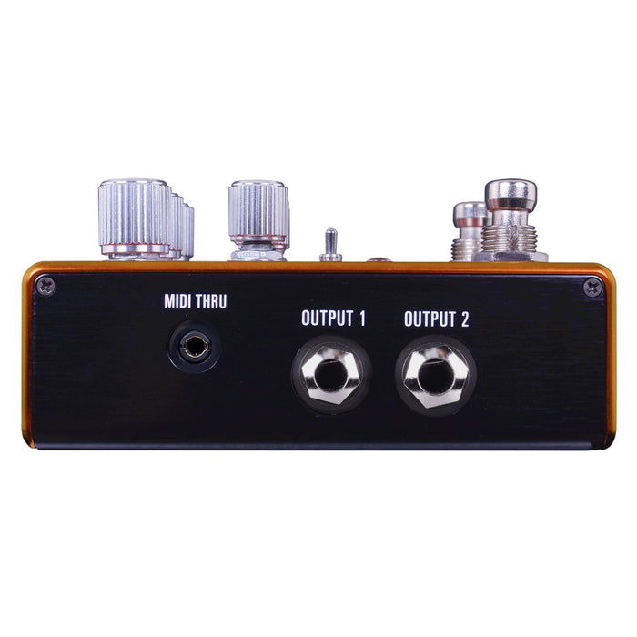 Source Audio Pathways Reverb + Tremolo Pedal