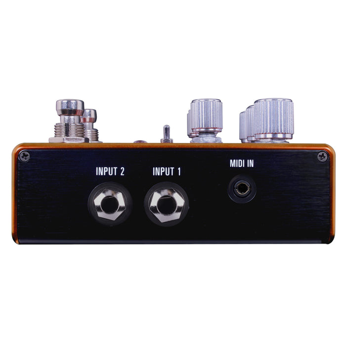 Source Audio Pathways Reverb + Tremolo Pedal